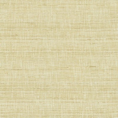 Kasmir WITH A VIEW      BARLEY          